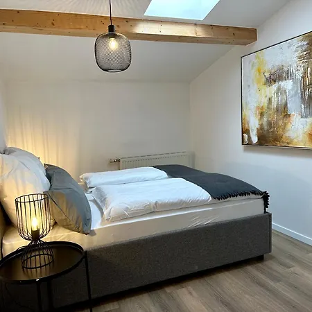 17Er Apartment Mit Sauna Und Privater Garage Mondsee Exterior photo